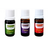 Kit 3 Óleos Essenciais Santo Expedito 10ml